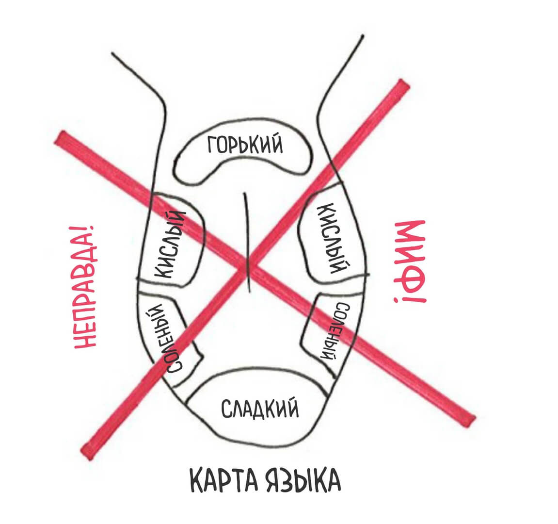 anatomia1ru