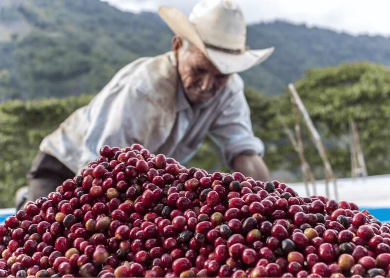 Кофе в колумбии