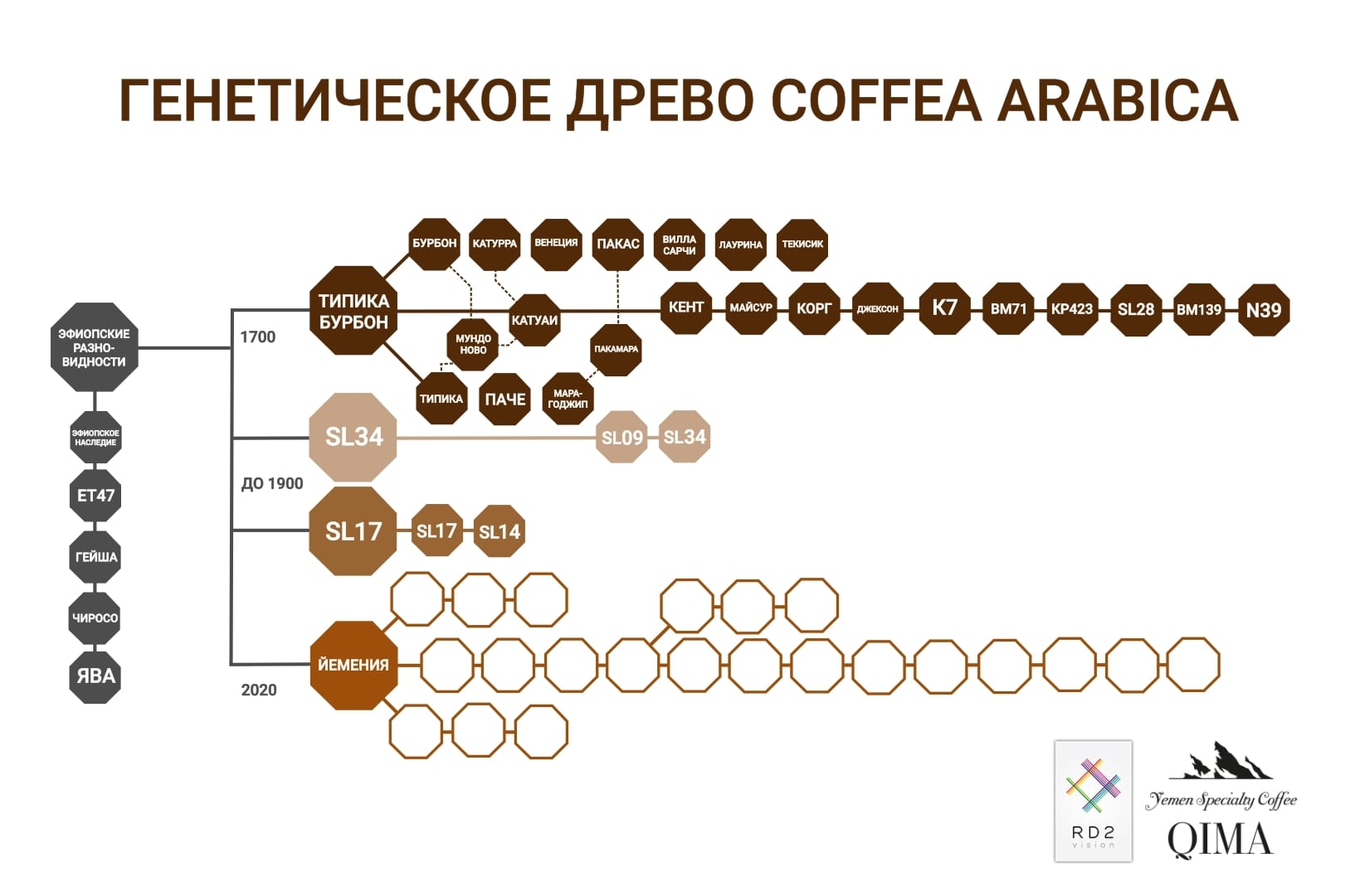 Крупнейшим производителем кофе является. Крупнейшие экспортеры кофе. Крупнейшие экспортеры кофе в мире. Химическая топология про кофе.